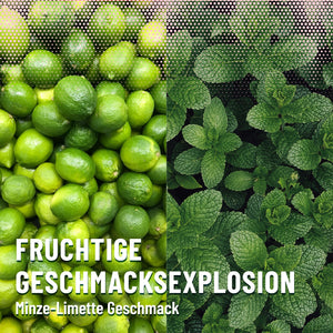 SPAR-Bundle: (MHD 13.05.25) 48x COLLIDE Bundle Minze-Limette