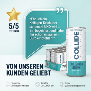 Kollagen Protein Drink: Minze-Limette 12x250ml